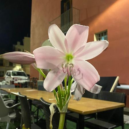 Restaurant & Rooms Cabrit Sant Mateu Exterior foto