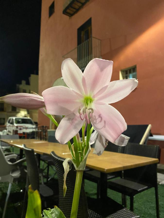 Restaurant & Rooms Cabrit Sant Mateu Exterior foto